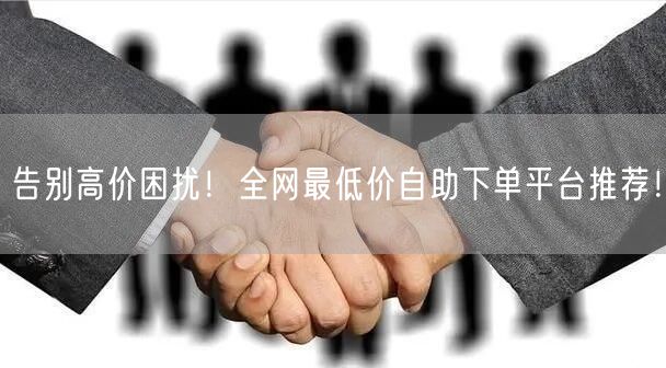 告别高价困扰！全网最低价自助下单平台推荐！