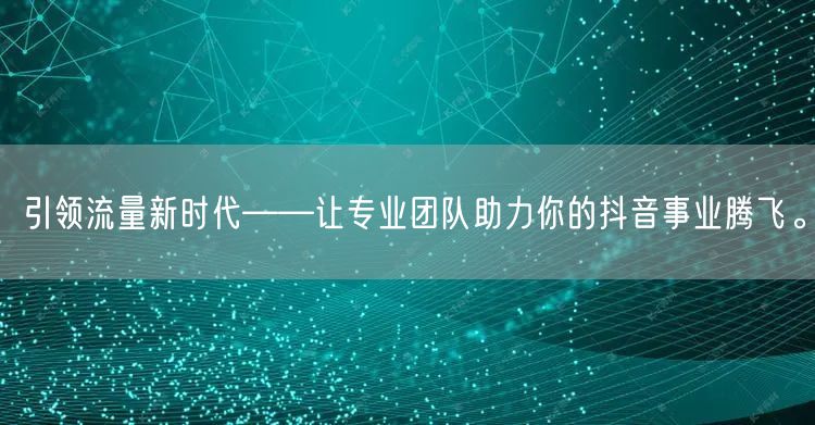 引领流量新时代——让专业团队助力你的抖音事业腾飞。