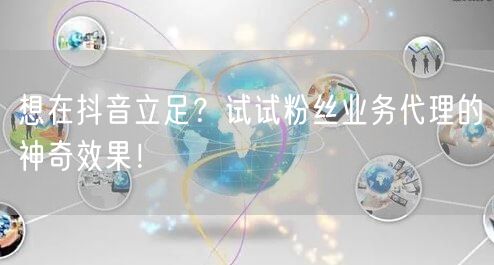 想在抖音立足？试试粉丝业务代理的神奇效果！
