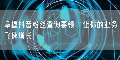 掌握抖音粉丝查询要领，让你的业务飞速增长！