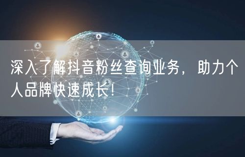 深入了解抖音粉丝查询业务，助力个人品牌快速成长！