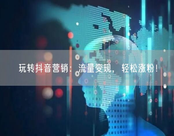 玩转抖音营销：流量变现，轻松涨粉！