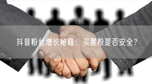 抖音粉丝增长秘籍：买黑粉是否安全？