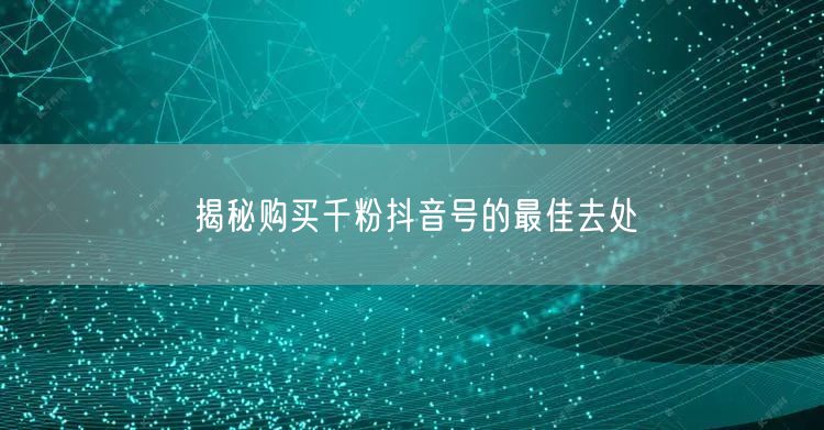 揭秘购买千粉抖音号的最佳去处