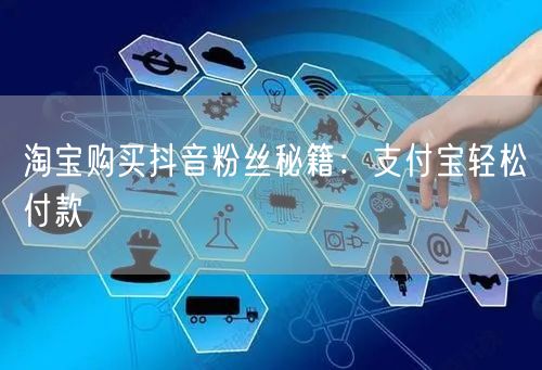 淘宝购买抖音粉丝秘籍：支付宝轻松付款