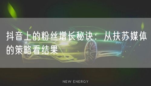 抖音上的粉丝增长秘诀：从扶苏媒体的策略看结果