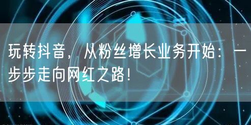 玩转抖音，从粉丝增长业务开始：一步步走向网红之路！