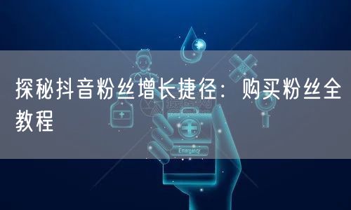 探秘抖音粉丝增长捷径：购买粉丝全教程