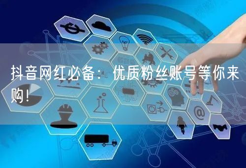 抖音网红必备：优质粉丝账号等你来购！