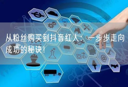 从粉丝购买到抖音红人：一步步走向成功的秘诀！