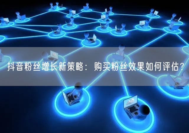 抖音粉丝增长新策略：购买粉丝效果如何评估？