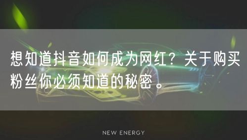 想知道抖音如何成为网红？关于购买粉丝你必须知道的秘密。