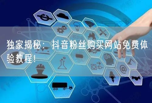 独家揭秘：抖音粉丝购买网站免费体验教程！