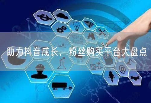 助力抖音成长，粉丝购买平台大盘点