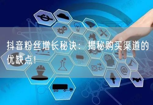 抖音粉丝增长秘诀：揭秘购买渠道的优缺点！