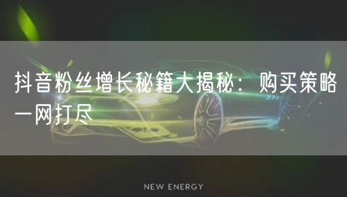 抖音粉丝增长秘籍大揭秘：购买策略一网打尽