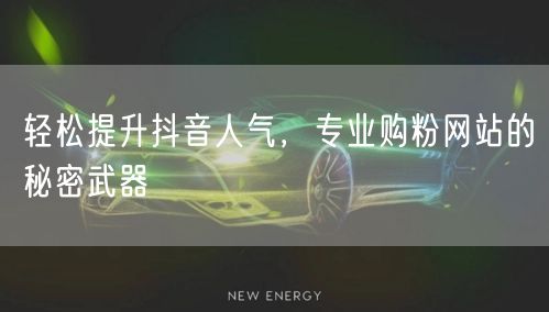 轻松提升抖音人气，专业购粉网站的秘密武器