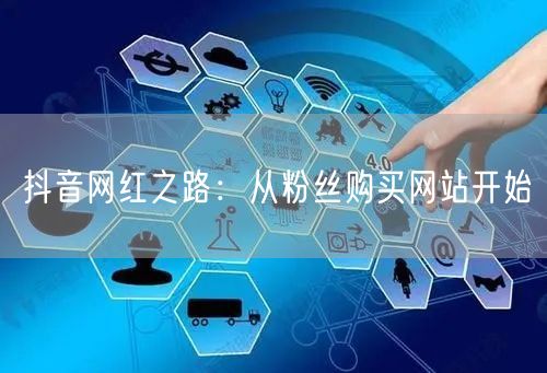 抖音网红之路：从粉丝购买网站开始