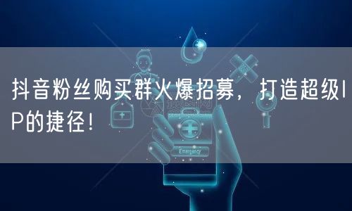 抖音粉丝购买群火爆招募，打造超级IP的捷径！