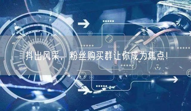 抖出风采，粉丝购买群让你成为焦点！