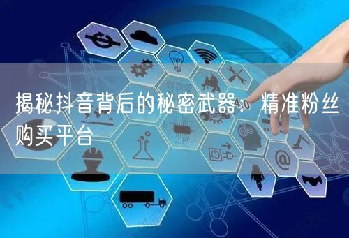 揭秘抖音背后的秘密武器：精准粉丝购买平台