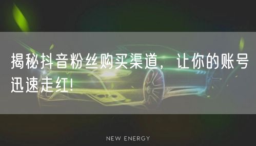 揭秘抖音粉丝购买渠道，让你的账号迅速走红!