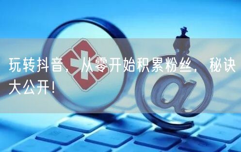 玩转抖音，从零开始积累粉丝，秘诀大公开！