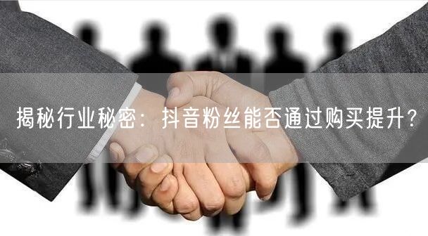 揭秘行业秘密：抖音粉丝能否通过购买提升？