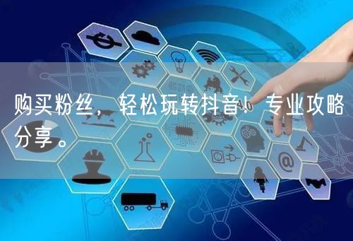 购买粉丝，轻松玩转抖音！专业攻略分享。