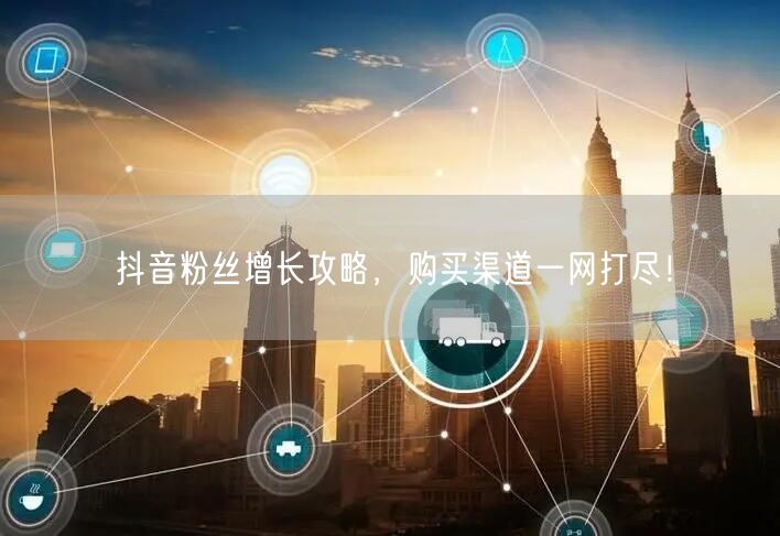 抖音粉丝增长攻略，购买渠道一网打尽！