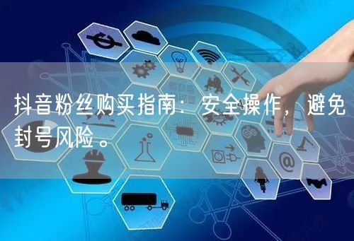 抖音粉丝购买指南：安全操作，避免封号风险。