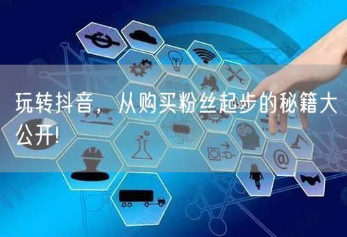 玩转抖音，从购买粉丝起步的秘籍大公开!