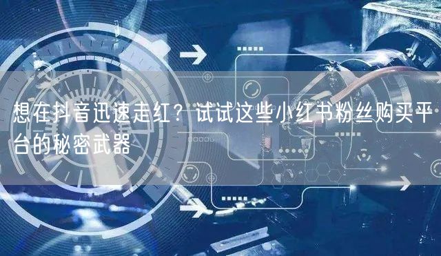 想在抖音迅速走红？试试这些小红书粉丝购买平台的秘密武器