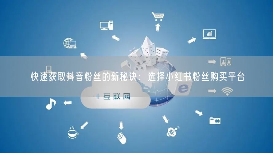 快速获取抖音粉丝的新秘诀：选择小红书粉丝购买平台