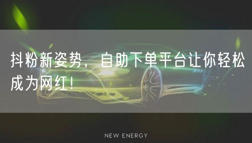 抖粉新姿势，自助下单平台让你轻松成为网红！