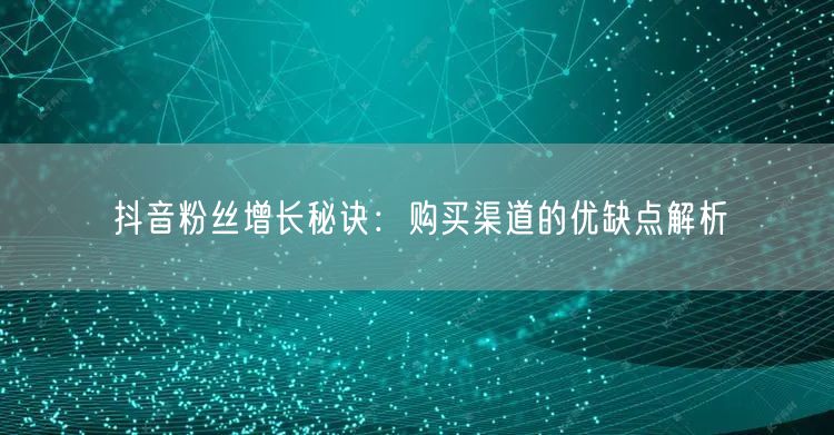 抖音粉丝增长秘诀：购买渠道的优缺点解析