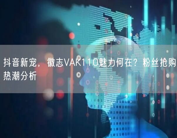 抖音新宠，徽志VAK110魅力何在？粉丝抢购热潮分析