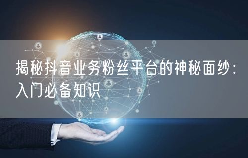 揭秘抖音业务粉丝平台的神秘面纱：入门必备知识