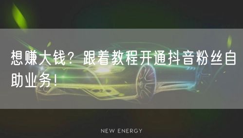 想赚大钱？跟着教程开通抖音粉丝自助业务！