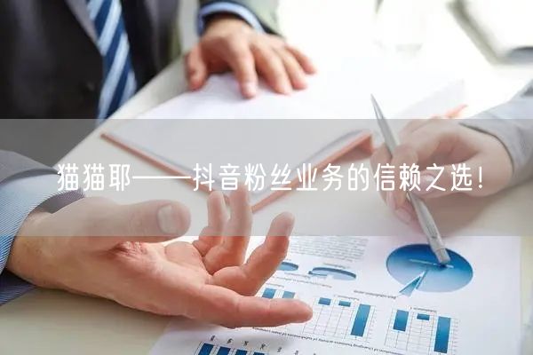 猫猫耶——抖音粉丝业务的信赖之选！