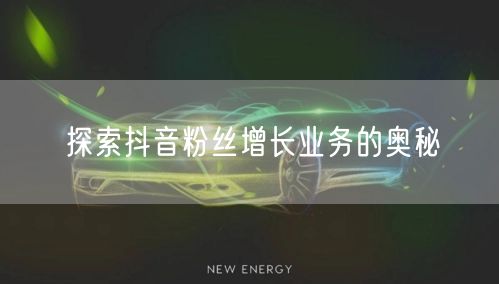 探索抖音粉丝增长业务的奥秘