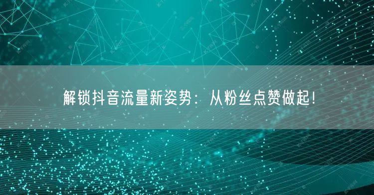 解锁抖音流量新姿势：从粉丝点赞做起！