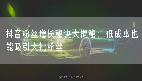 抖音粉丝增长秘诀大揭秘：低成本也能吸引大批粉丝