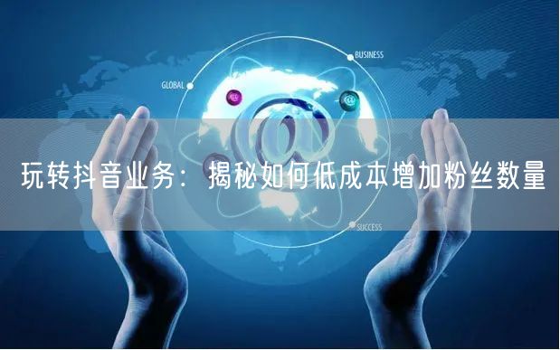 玩转抖音业务：揭秘如何低成本增加粉丝数量
