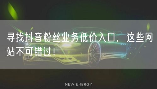 寻找抖音粉丝业务低价入口，这些网站不可错过！