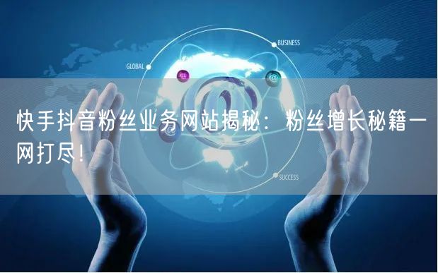 快手抖音粉丝业务网站揭秘：粉丝增长秘籍一网打尽！