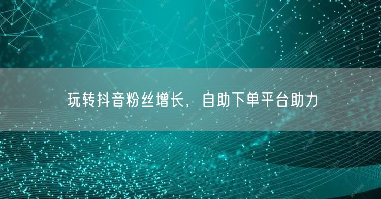 玩转抖音粉丝增长，自助下单平台助力