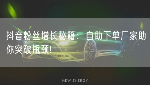 抖音粉丝增长秘籍：自助下单厂家助你突破瓶颈!