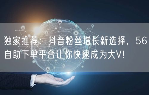 独家推荐：抖音粉丝增长新选择，56自助下单平台让你快速成为大V！