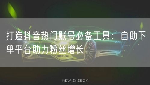 打造抖音热门账号必备工具：自助下单平台助力粉丝增长